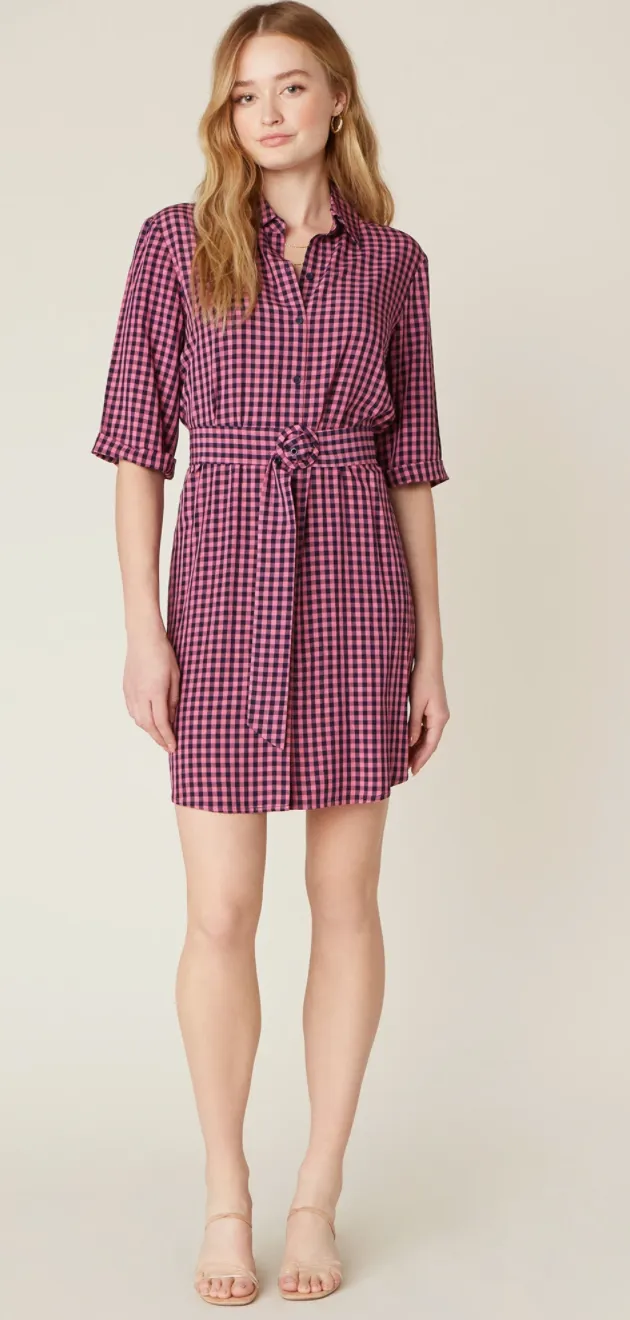 Checks Every Box Gingham Dress