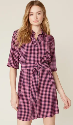 Checks Every Box Gingham Dress