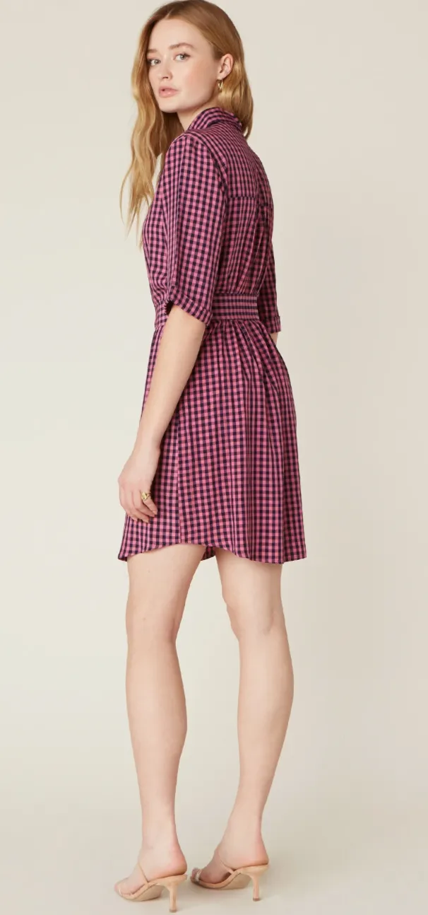 Checks Every Box Gingham Dress