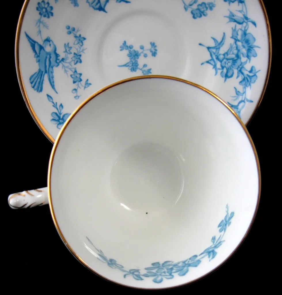 George Jones Blue Bird Cup And Saucer Swansea Rare 1920s Blue Transfer