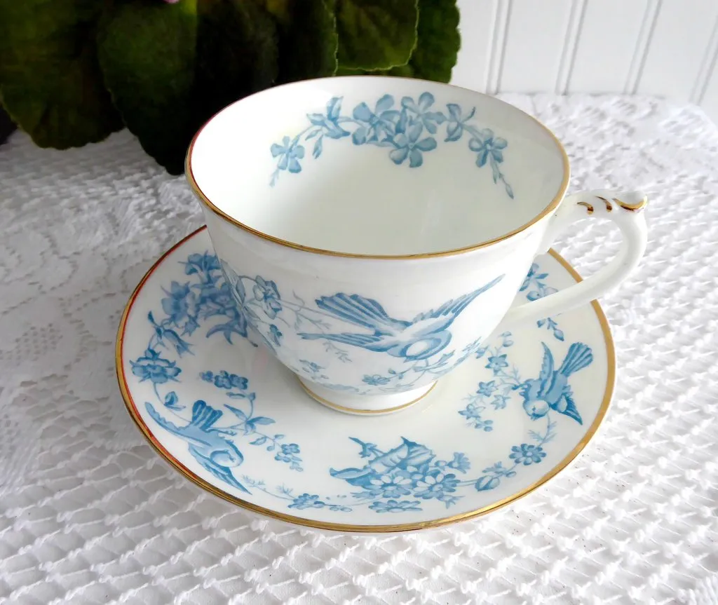 George Jones Blue Bird Cup And Saucer Swansea Rare 1920s Blue Transfer