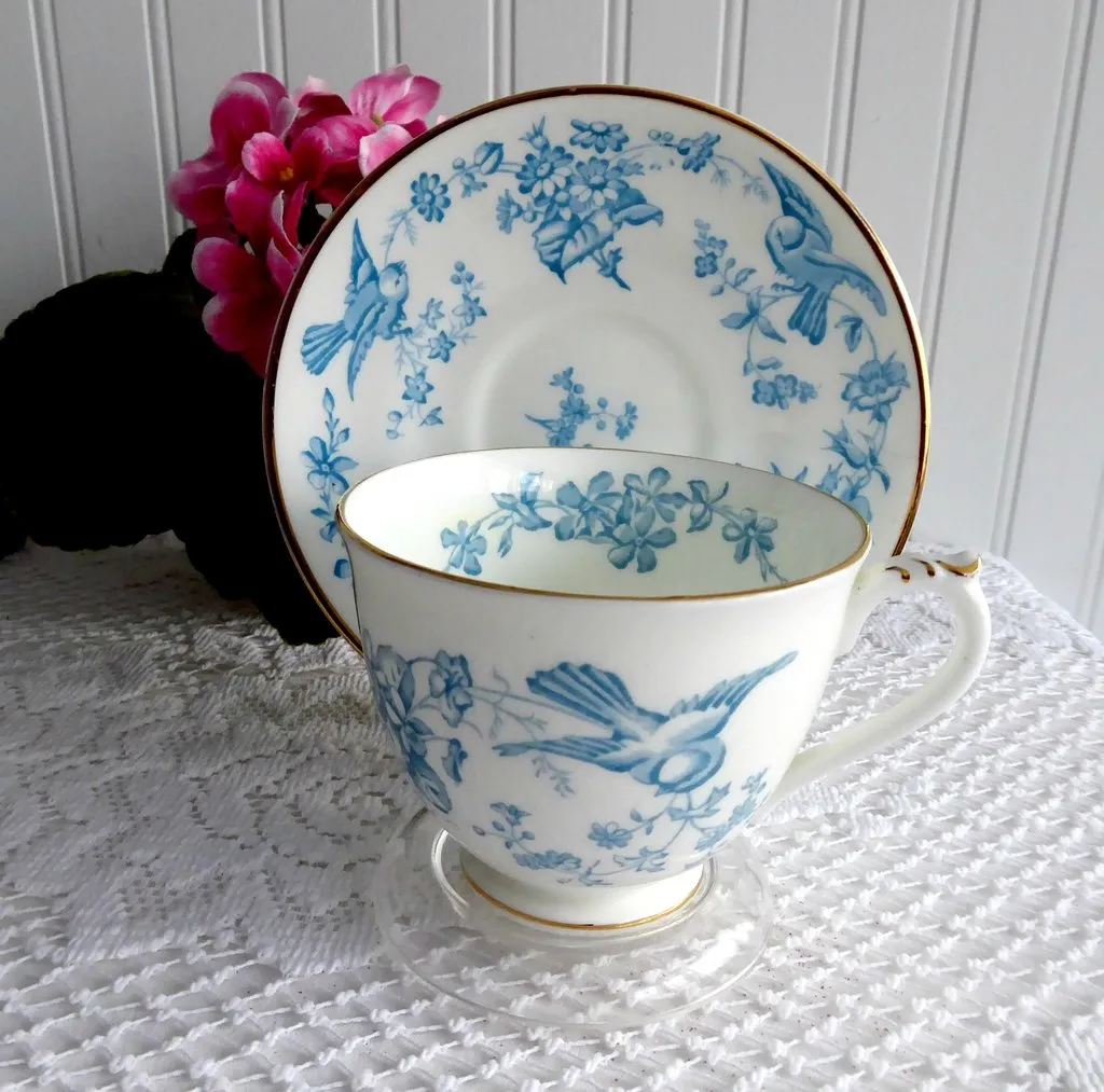 George Jones Blue Bird Cup And Saucer Swansea Rare 1920s Blue Transfer