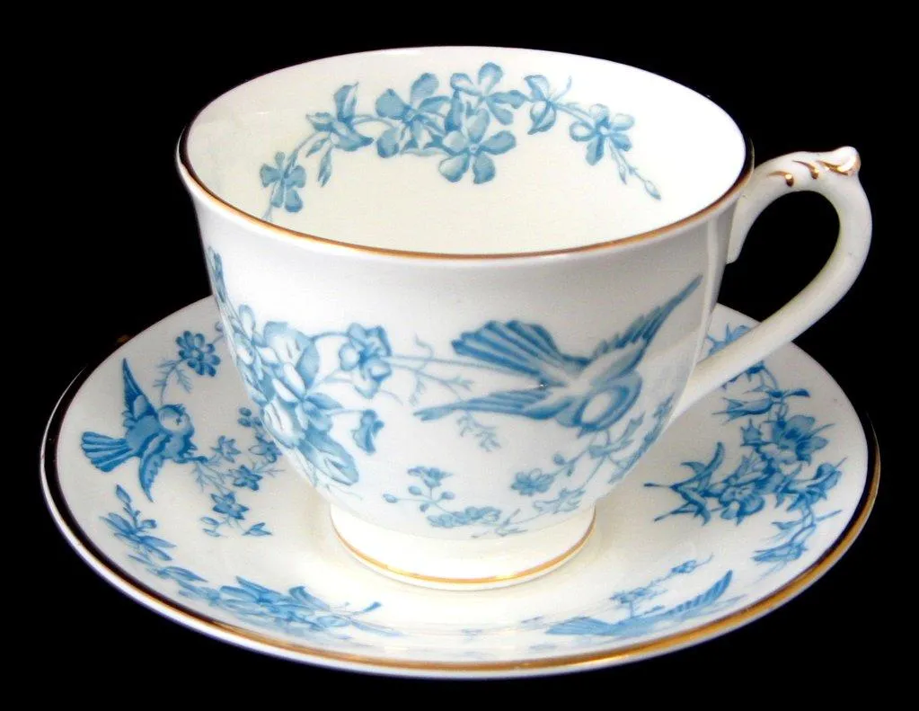 George Jones Blue Bird Cup And Saucer Swansea Rare 1920s Blue Transfer