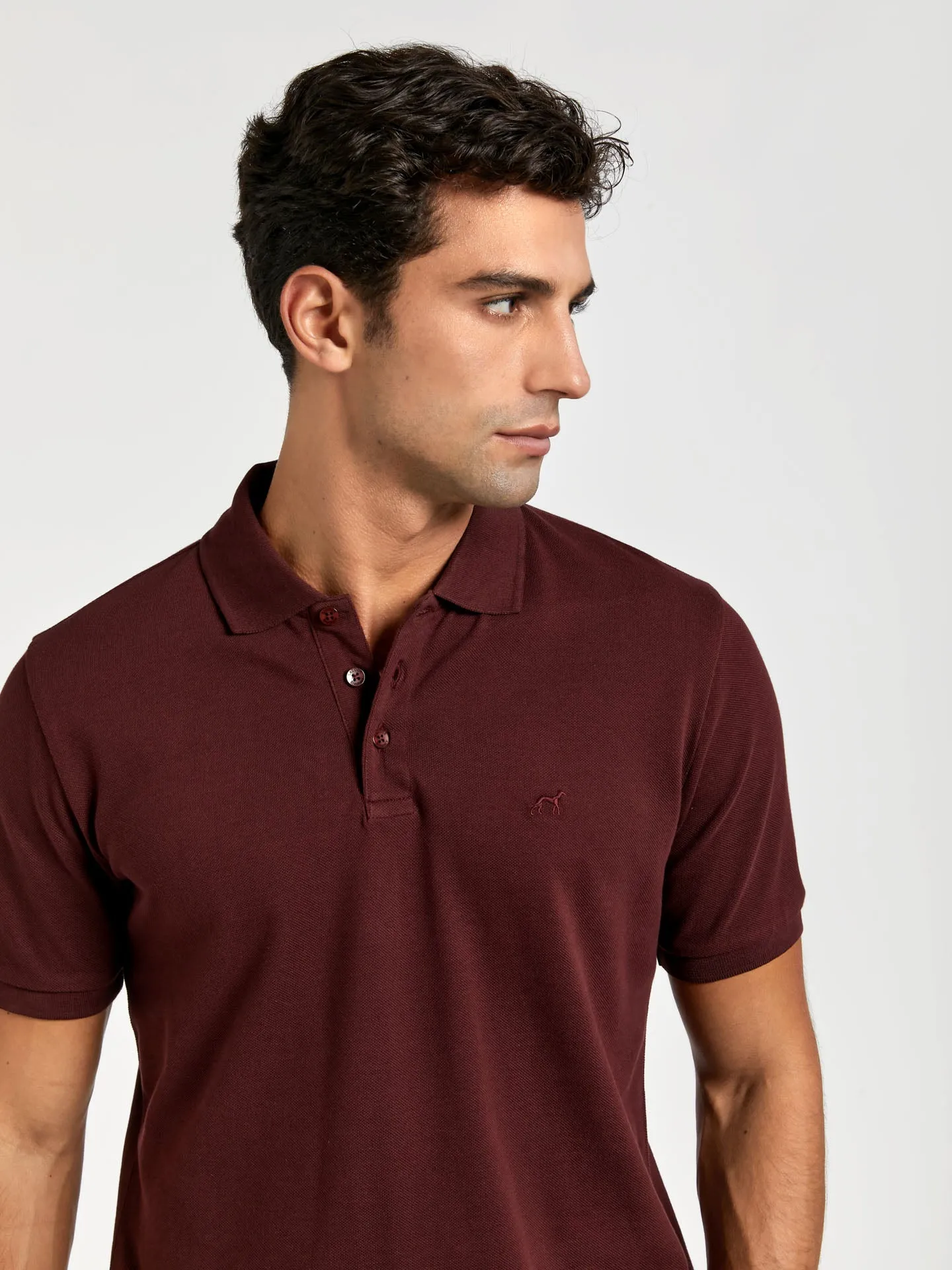 Regular fit basic piqué polo shirt