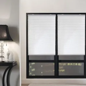 Simplistic Cordless Pleated Shades